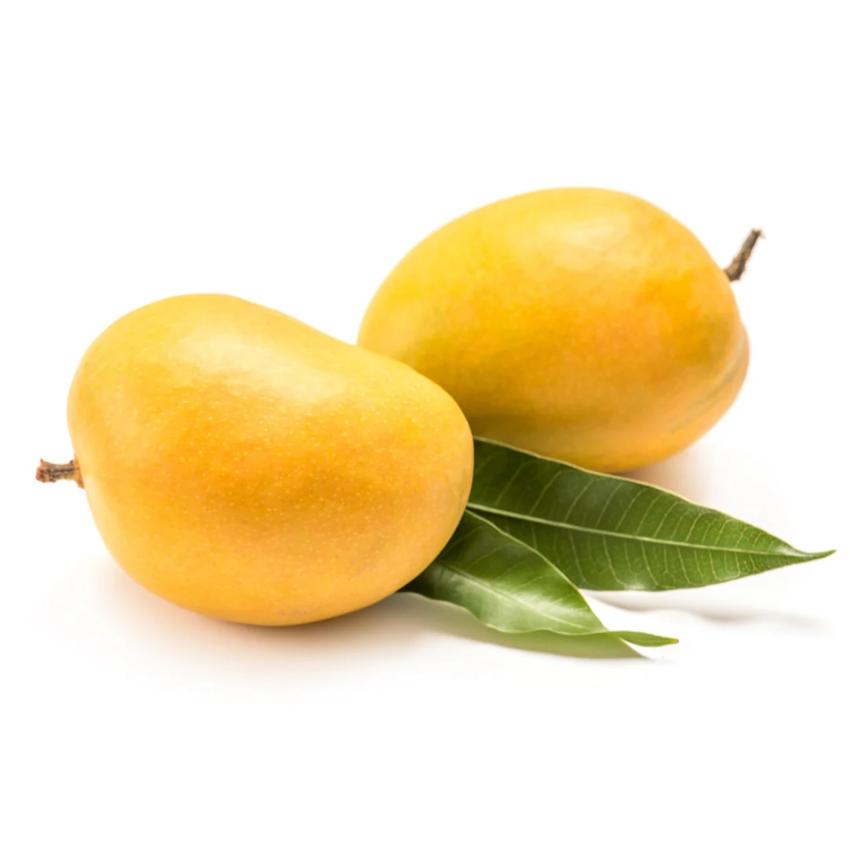 ALPHONSA MANGO