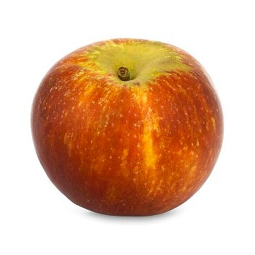 APPLE - COX