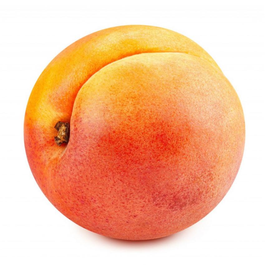 APRICOT