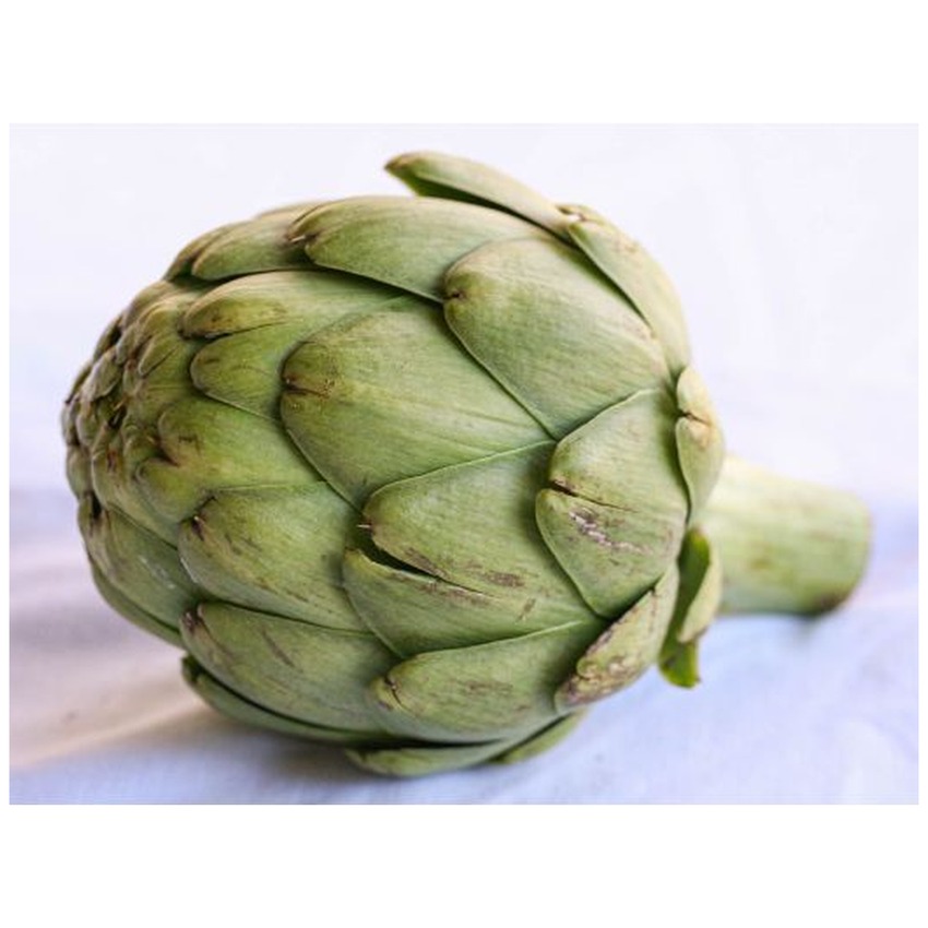 ARTICHOKE GLOBE