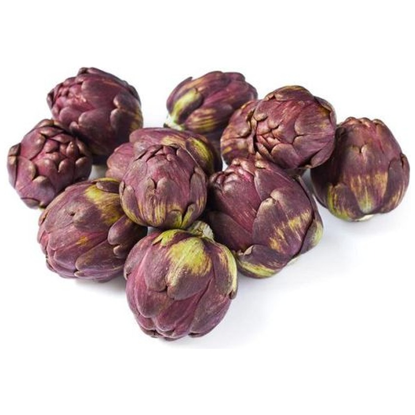 ARTICHOKE ITAL RED