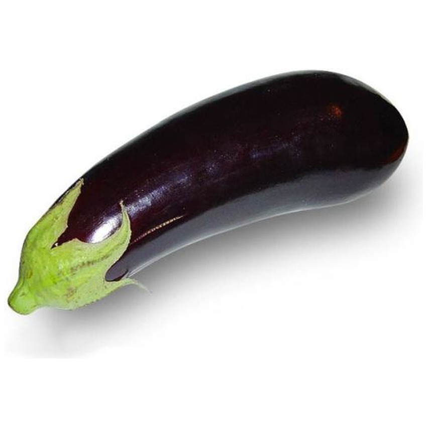 AUBERGINE