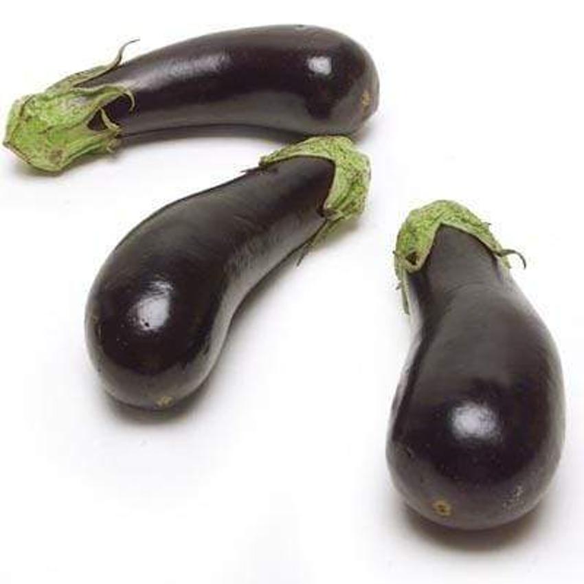AUBERGINE ITALIAN