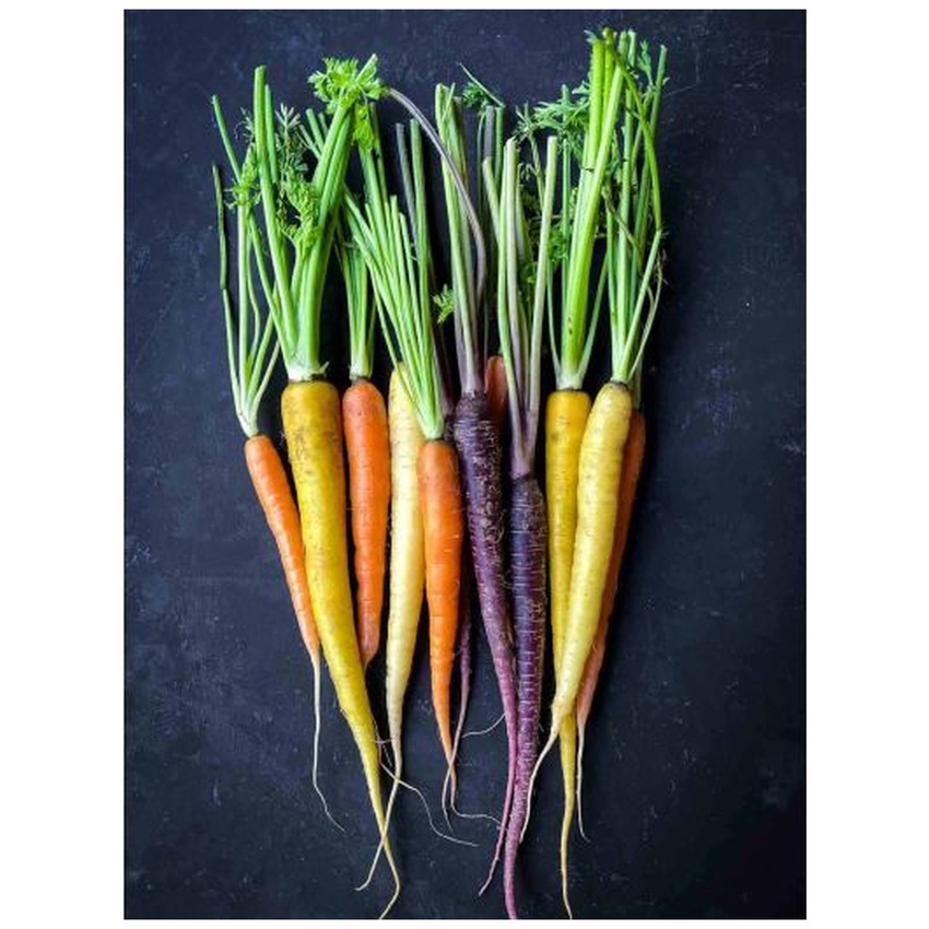 BABY CARROT RAINBOW