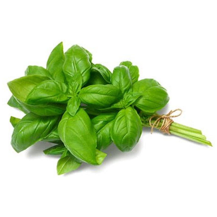 BASIL BUNCH
