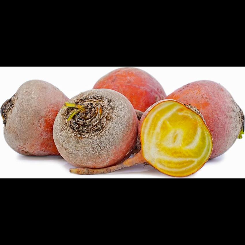 BEETROOT GOLDEN