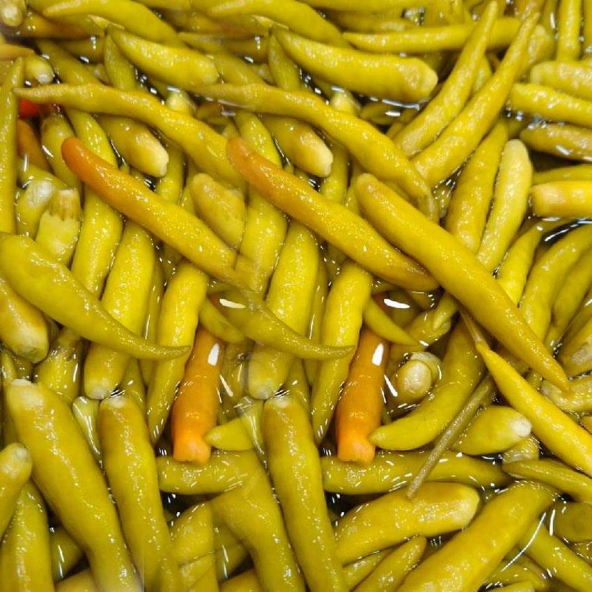 CICEK HOT PEPPER PICKLED (YAKAN SUS BIBERI)