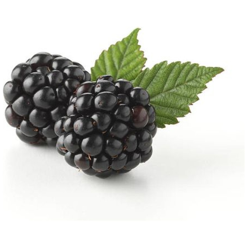 BLACKBERRY