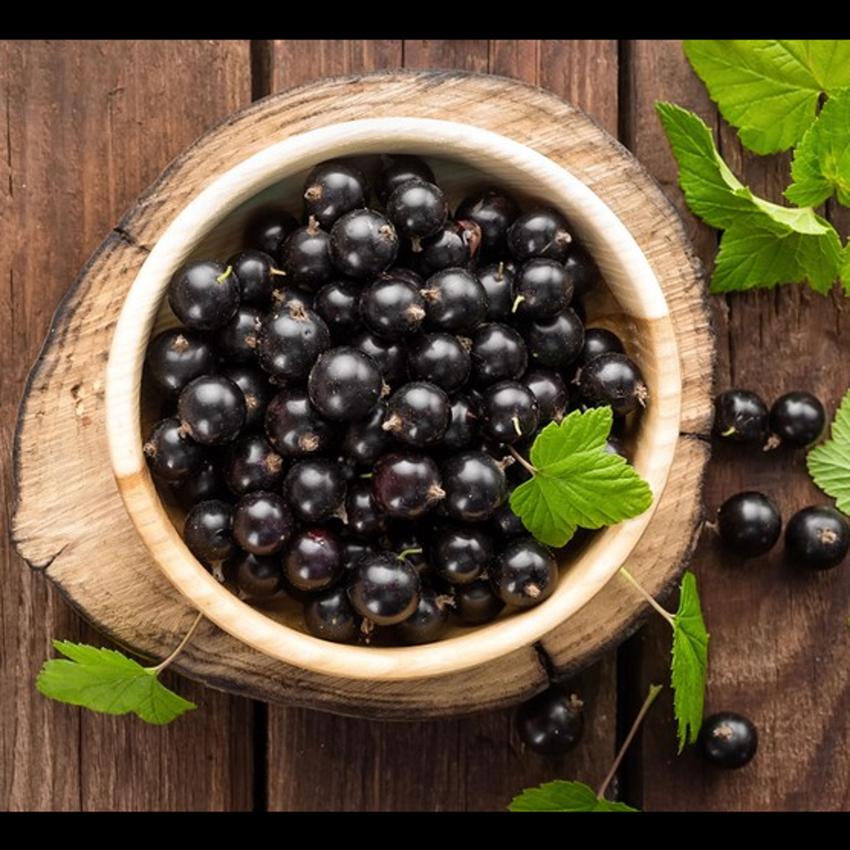 BLACKCURRANT