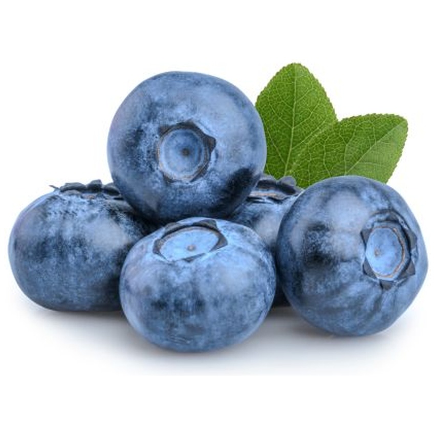 BLUEBERRY
