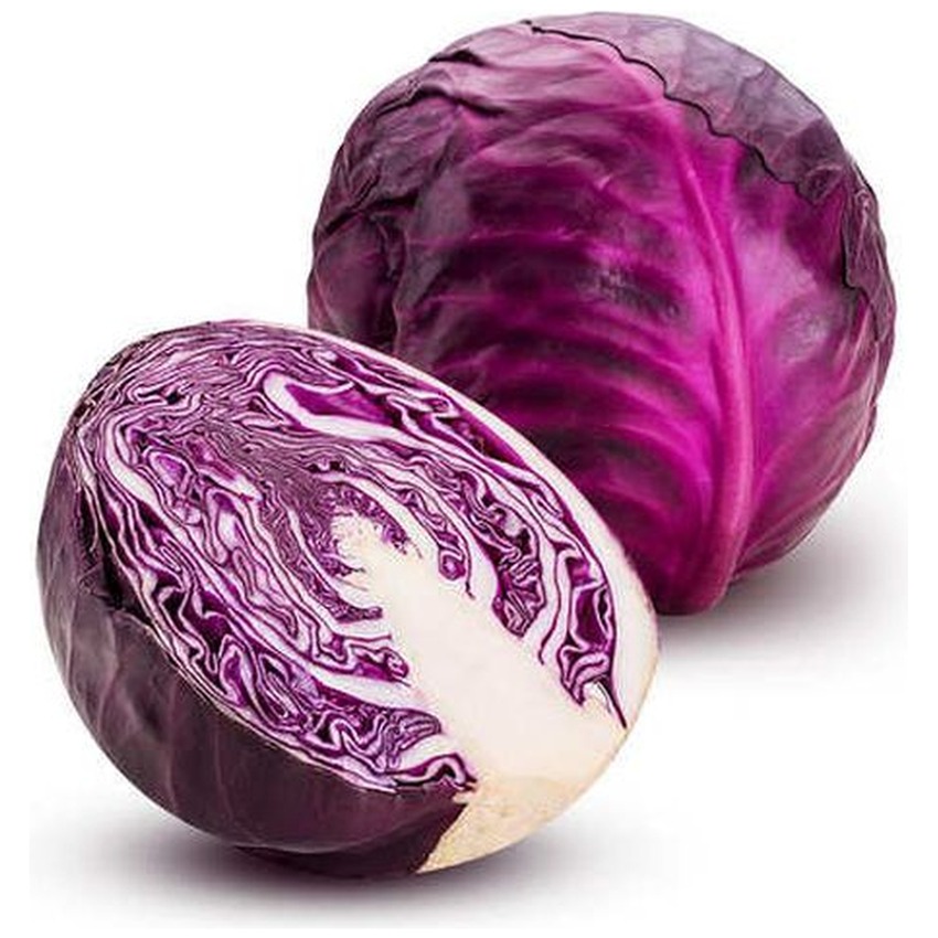 CABBAGE (RED) SMALL