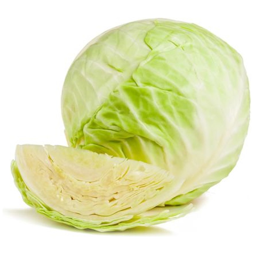 CABBAGE (WHITE) LARGE