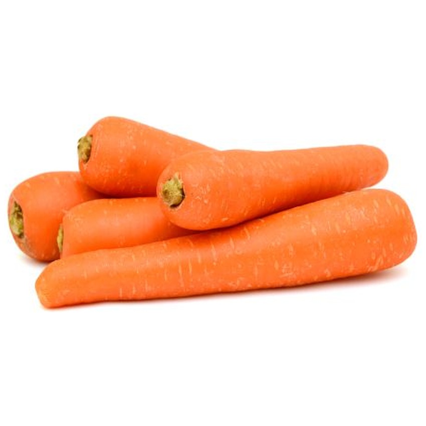 CARROT NET