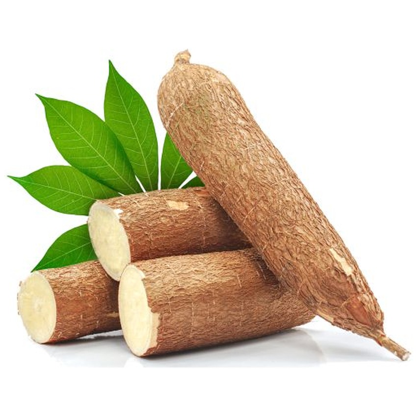 CASSAVA