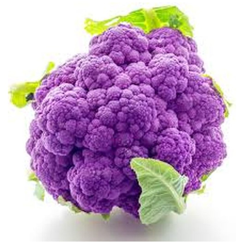 CAULIFLOWER PURPLE