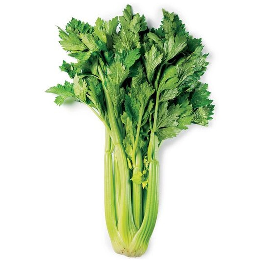 CELERY WITH LEAF