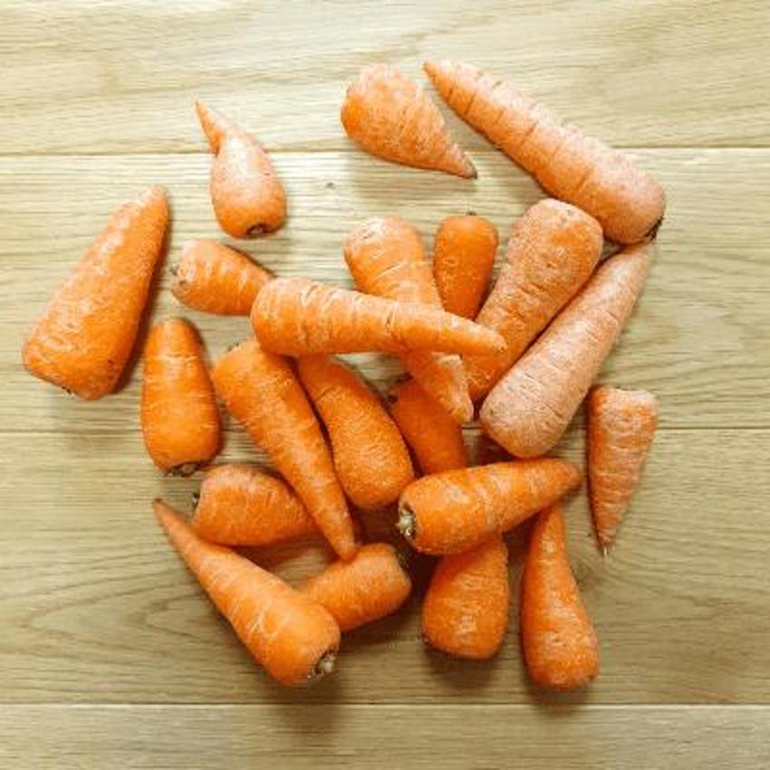 CHANTENEL CARROT