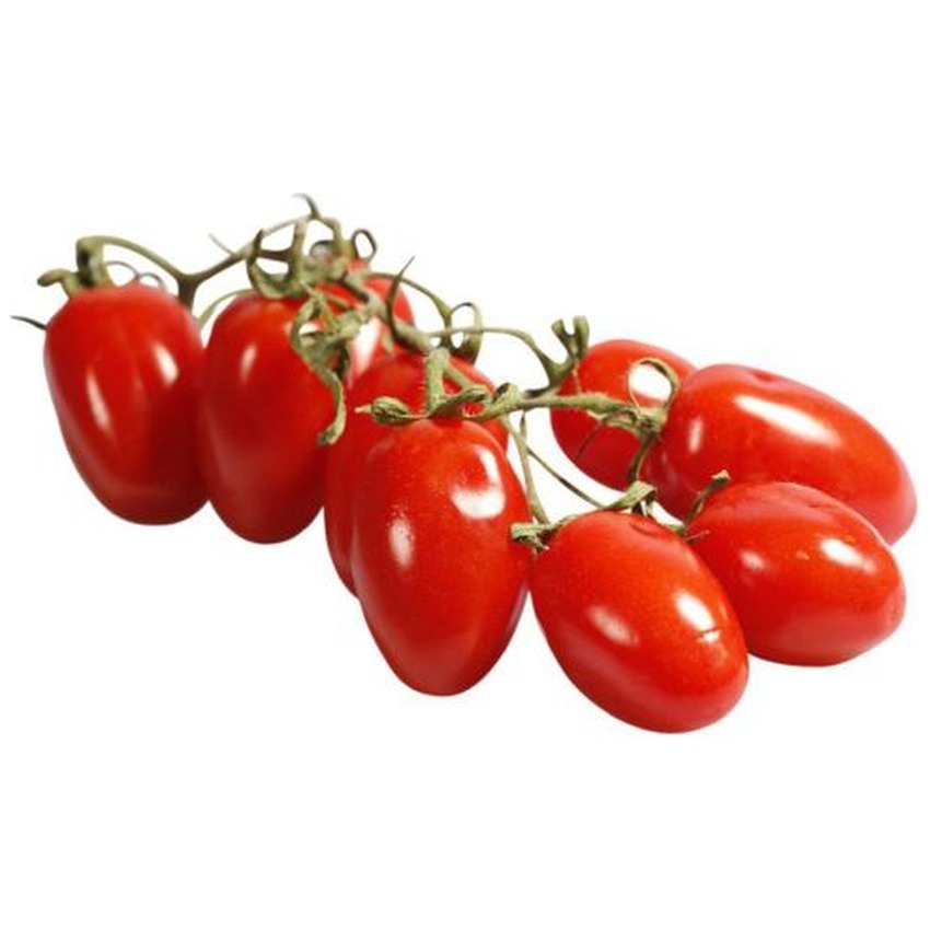 CHERRY PLUM VINE TOMATO