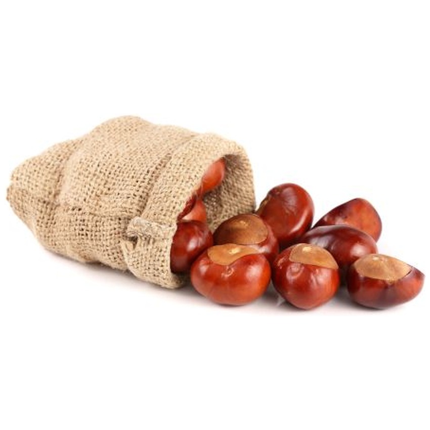 CHESNUT ( KESTANE)