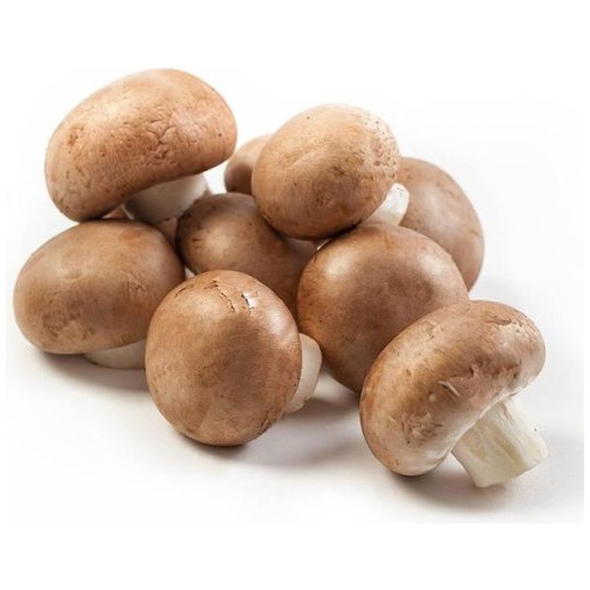 CHESNUT MUSHROOM