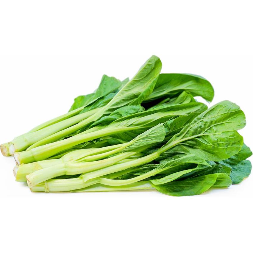 CHOI SUM