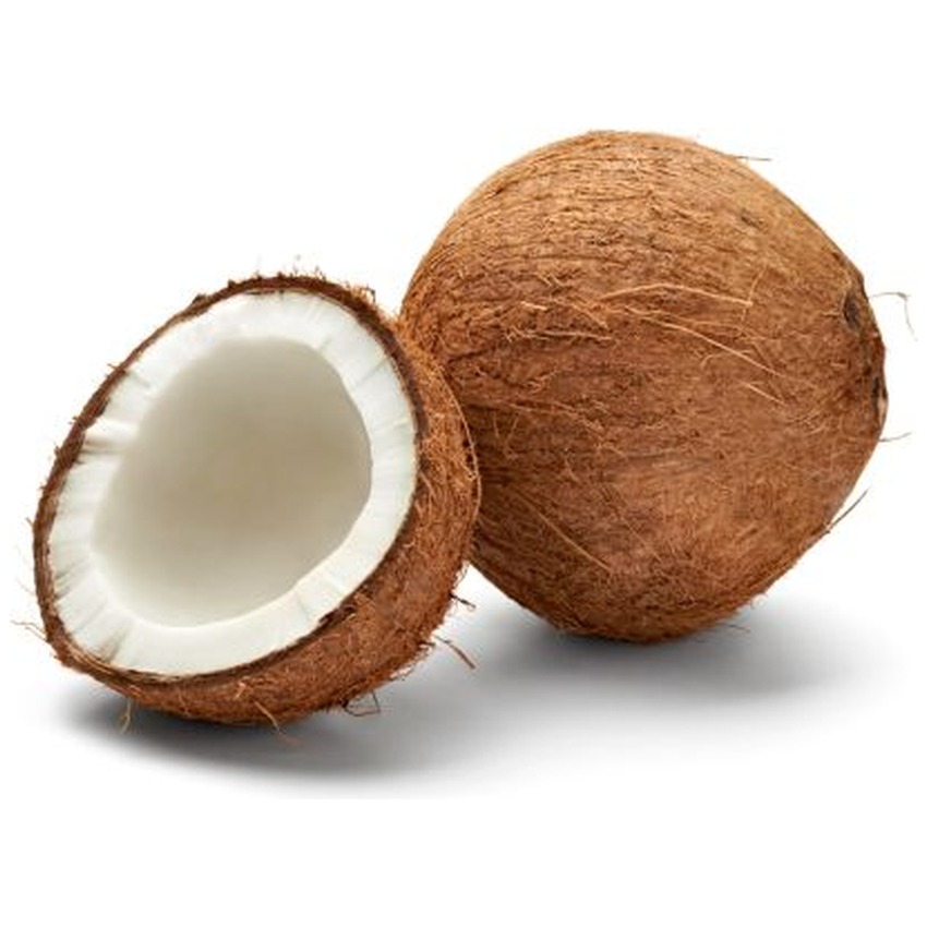 COCONUT BAG