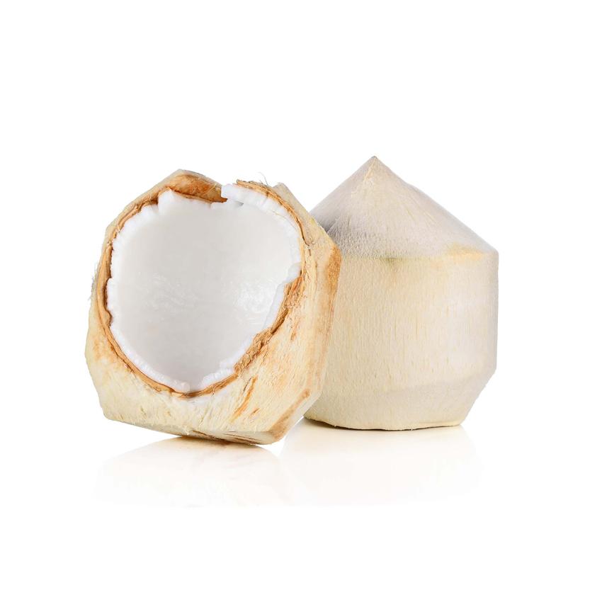 COCONUT - YOUNG