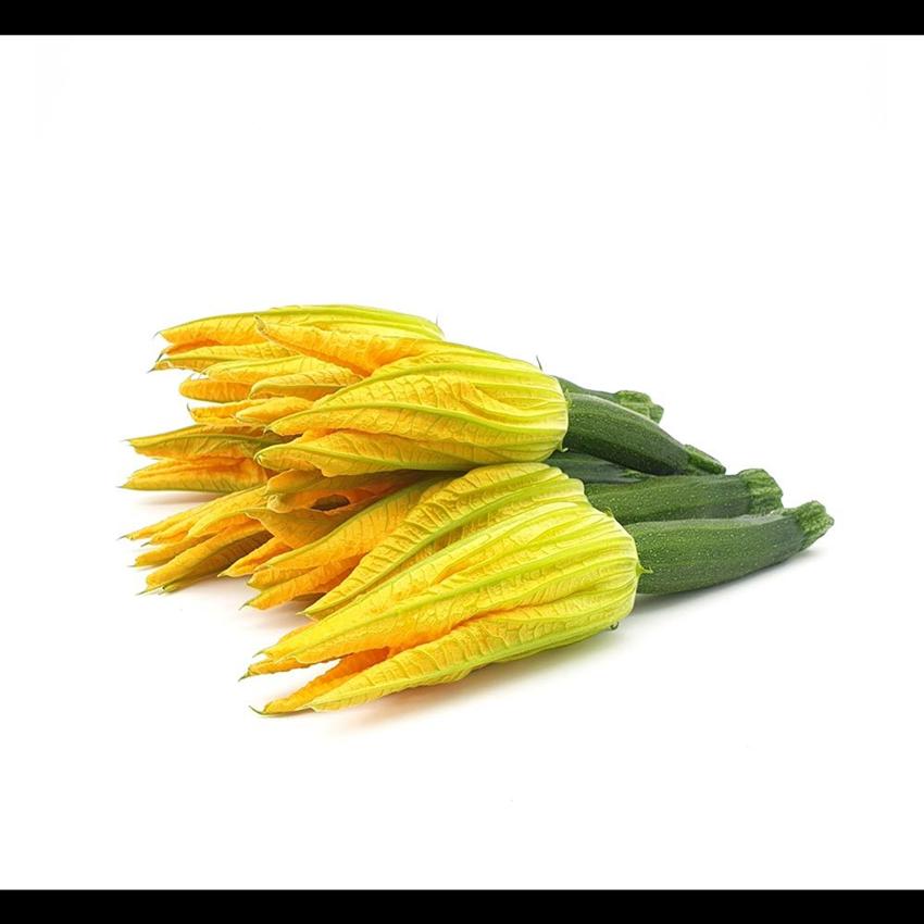 COURGETTE FLOWER
