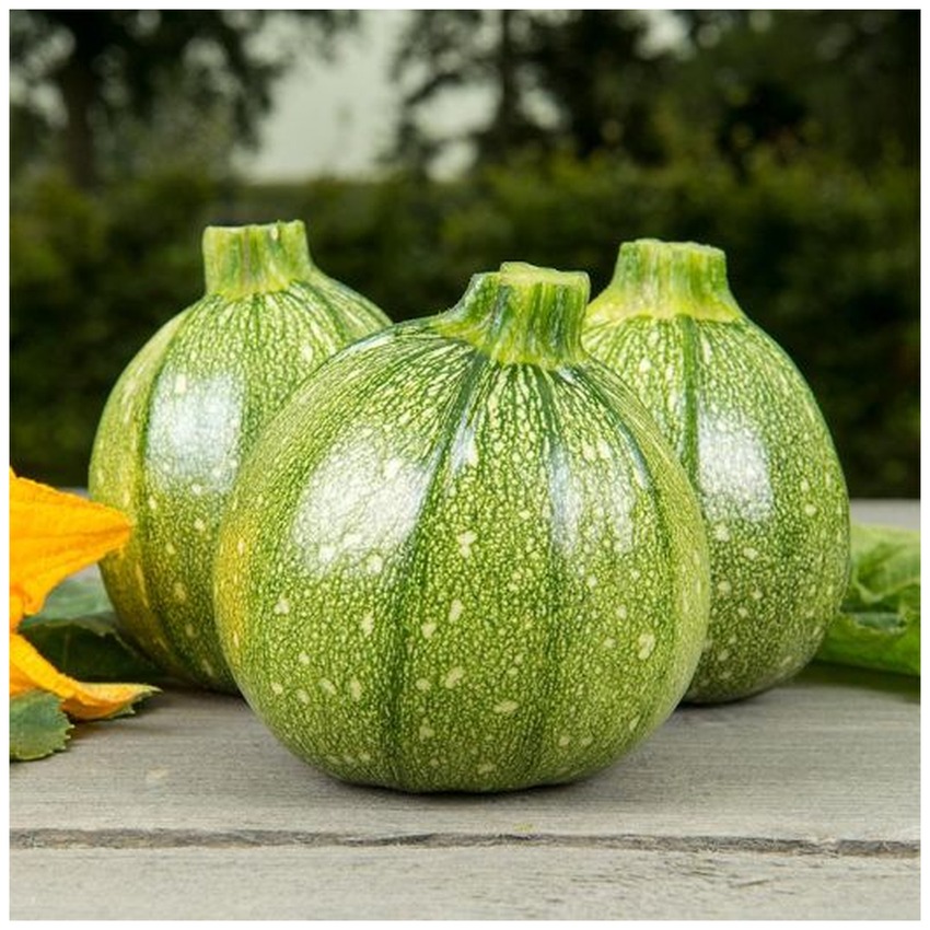 COURGETTE ROUND