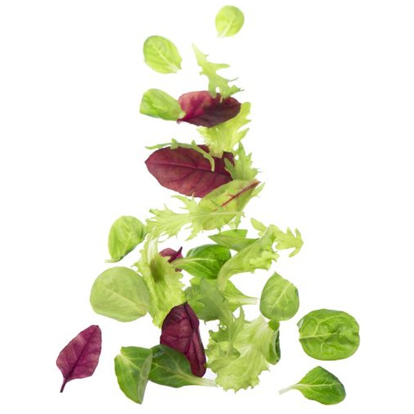 CRISPY MIX SALAD 6X150GR