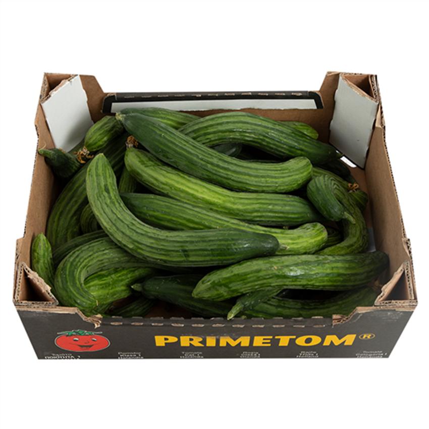 CROOKS CUCUMBER