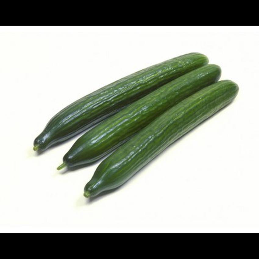 CUCUMBER - (DUTCH)