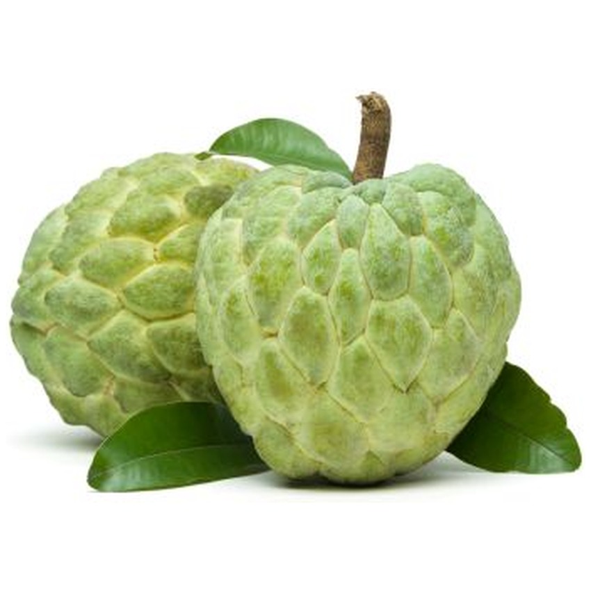 CUSTARD APPLE