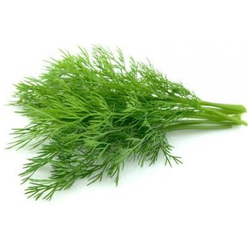DILL