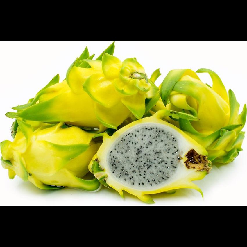 DRAGON FRUIT - YELLOW