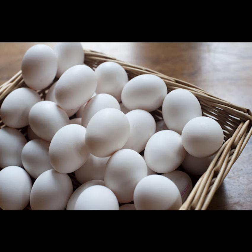 EGG - MEDIUM (WHITE)