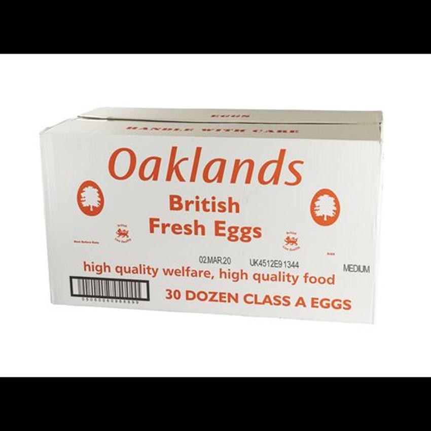 EGG OAKLAND (LION QUALITY)