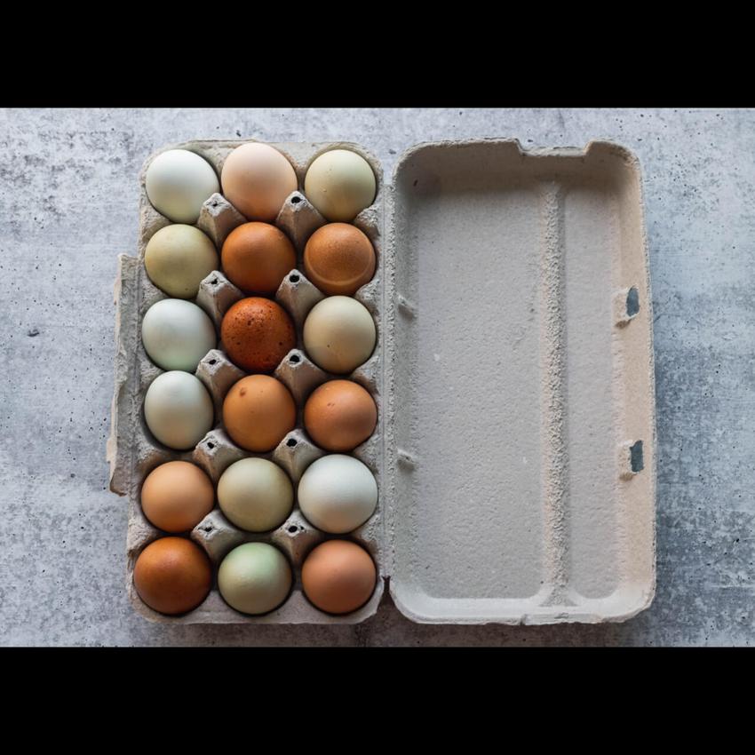 EGG PREPACK 18
