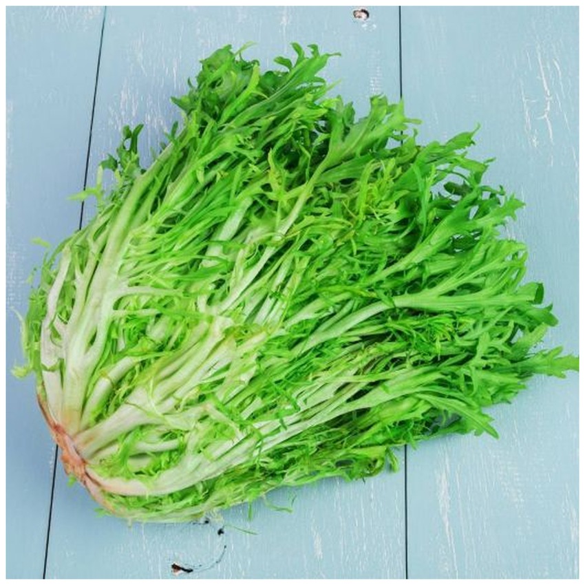 ENDIVES
