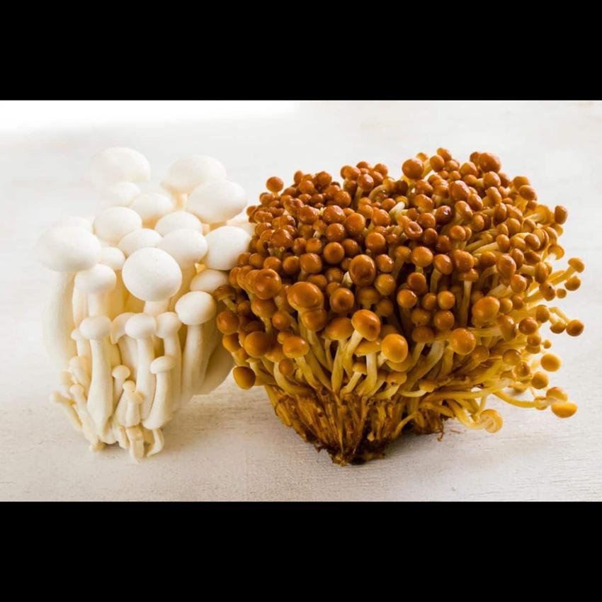 ENOKI MUSHROOM