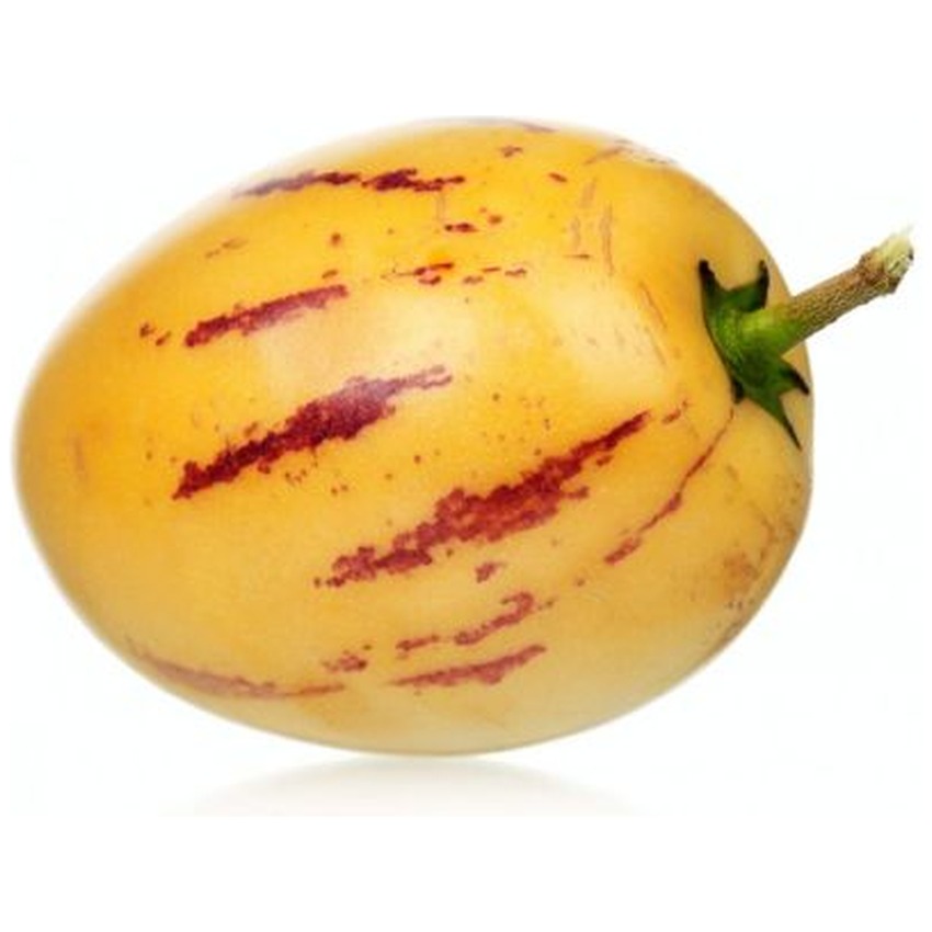 EXOTICS PEPINO