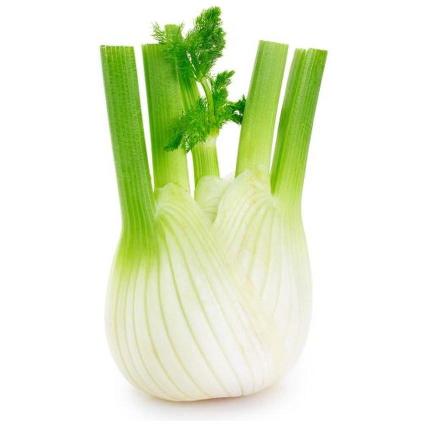 FENNEL