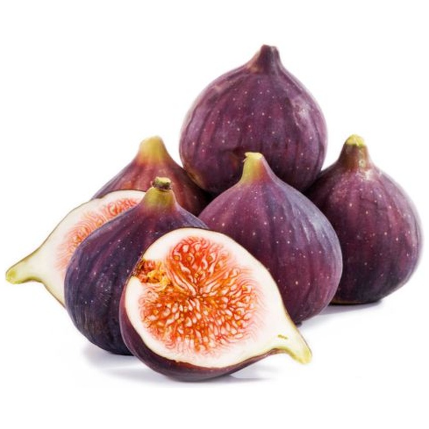 FIG - BLACK