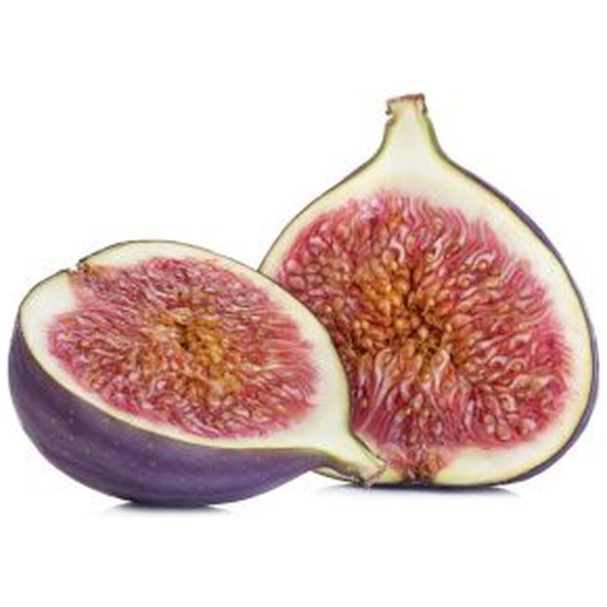 FIG - WHITE