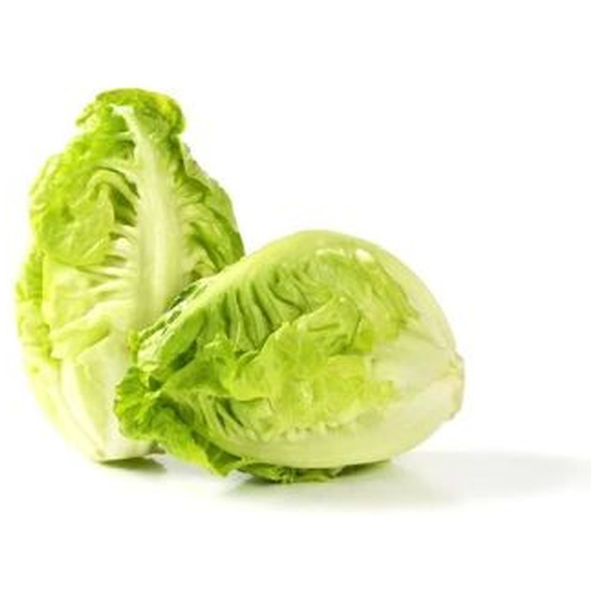 GEM LETTUCE 10PCS