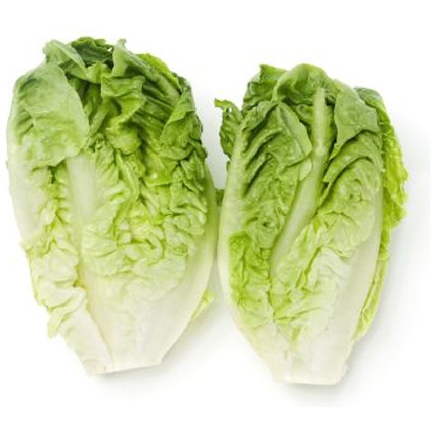 GEM LETTUCE (BIG BOX)