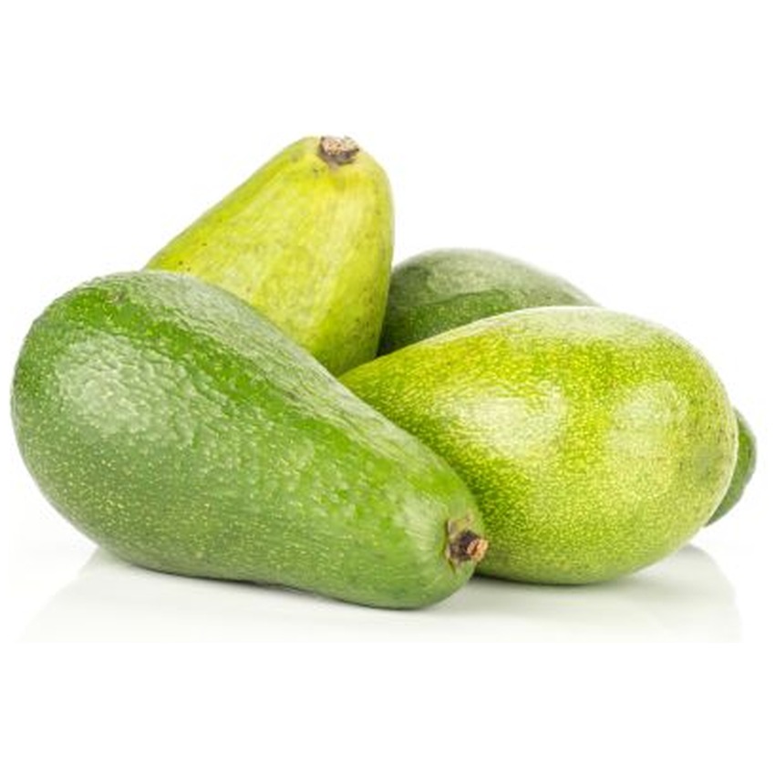 GREEN AVOCADO