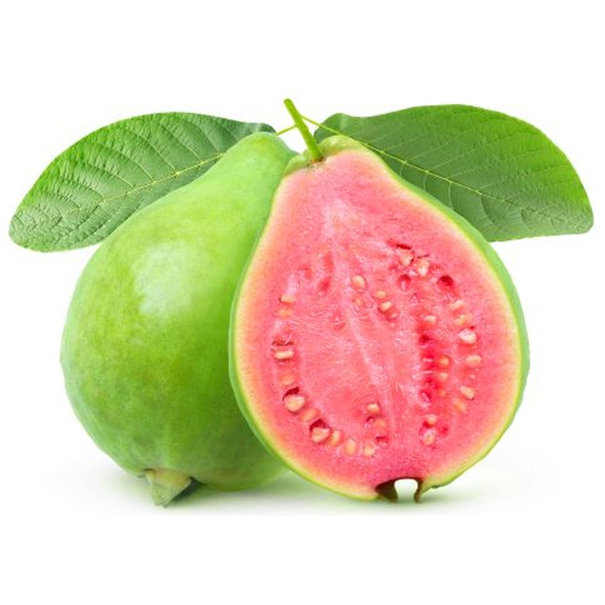 GUAVA
