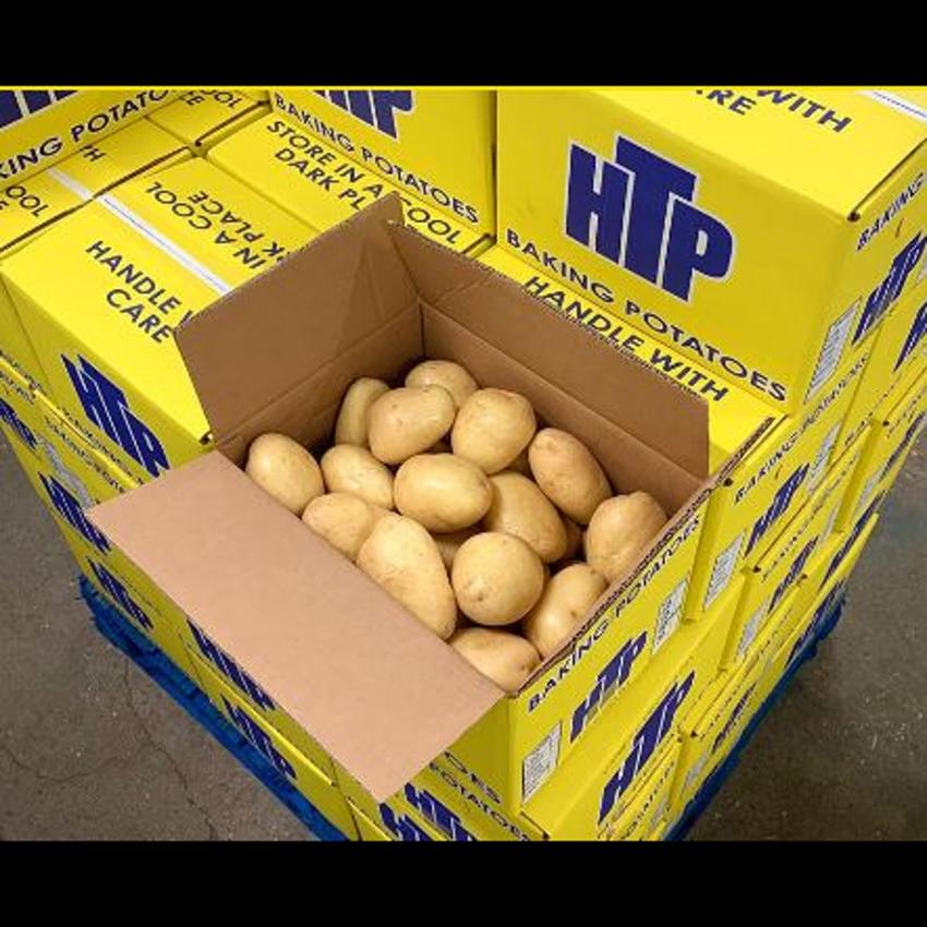 HTP JACKET POTATO 40