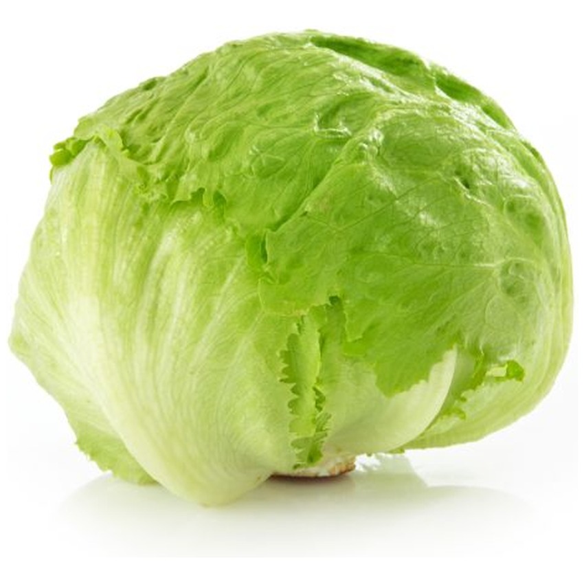 ICEBERG LETTUCE
